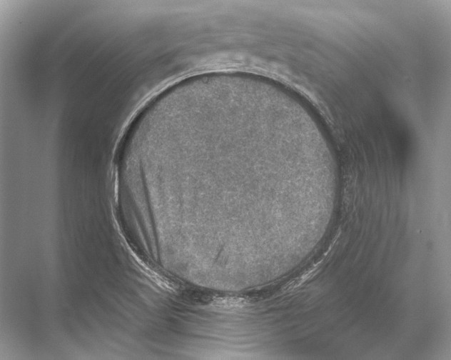 X0000067841509200605041636