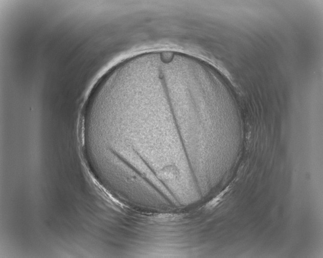 X0000067841510200605041636