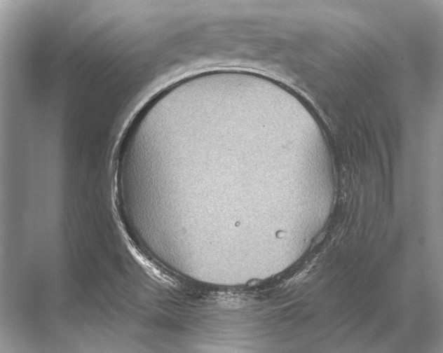 X0000067841511200605041636