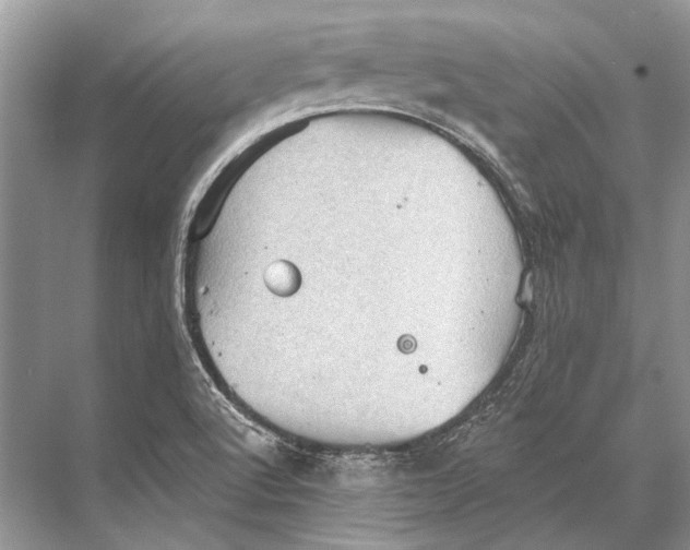 X0000067841512200605041636