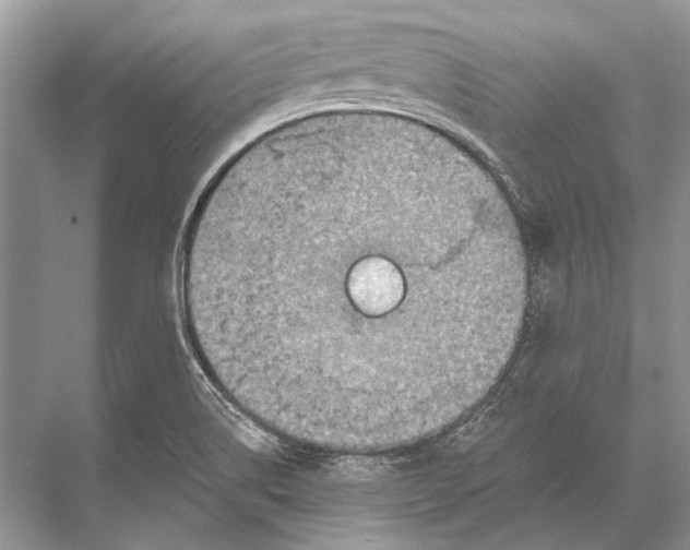 X0000067841514200605041636