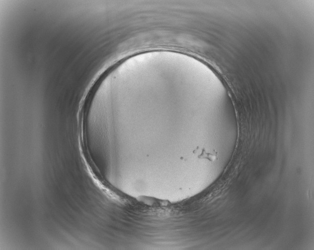 X0000067841515200605041636