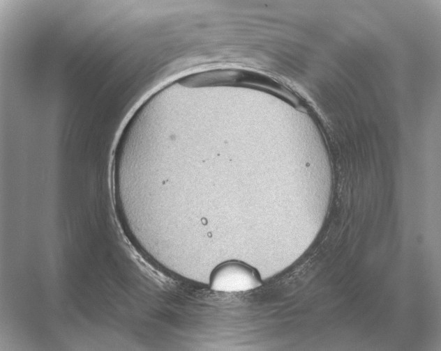 X0000067841516200605041636