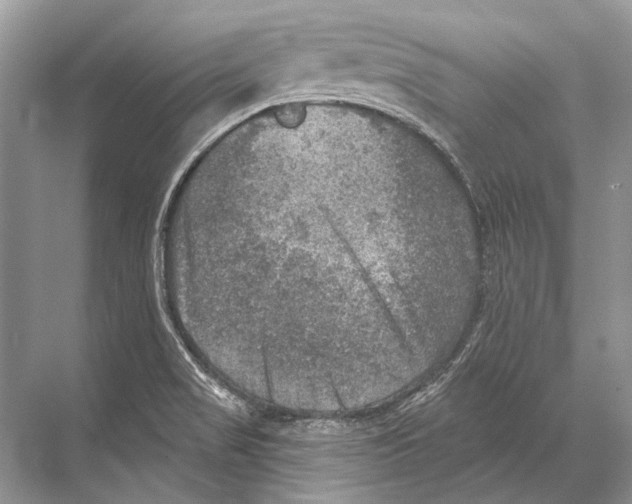 X0000067841517200605041636