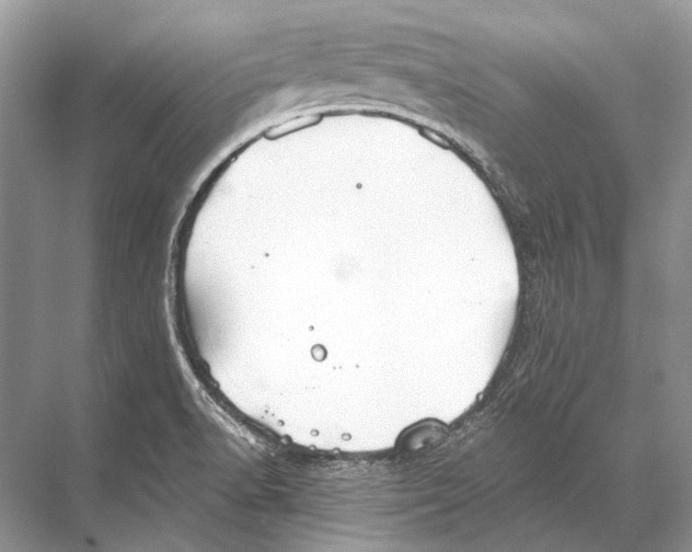 X0000067841518200605041636