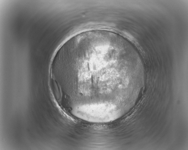 X0000067841520200605041636