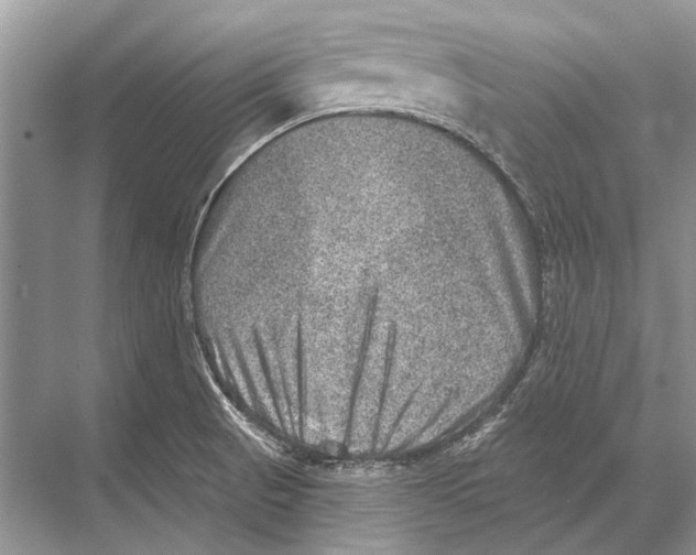 X0000067841521200605041636