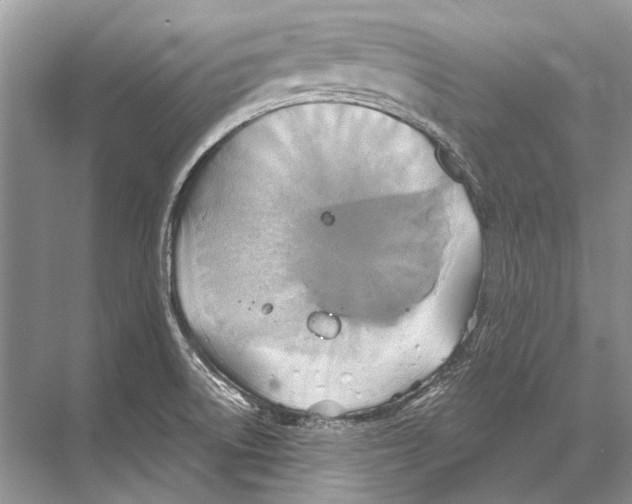 X0000067841522200605041636