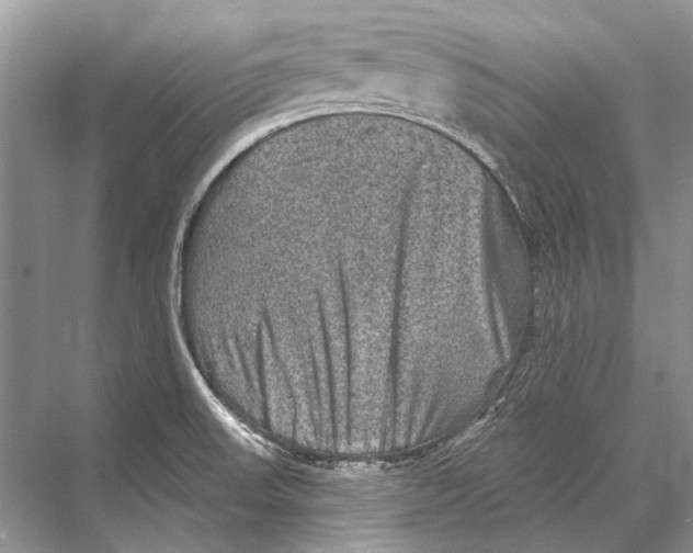 X0000067841523200605041636