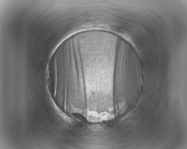 X0000067841524200605041636