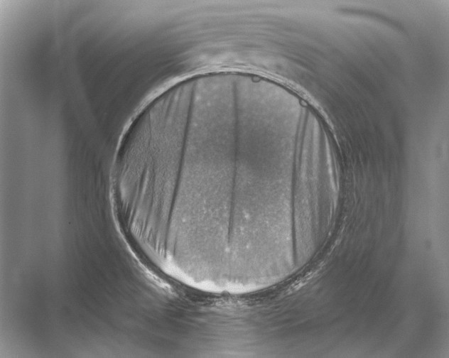 X0000067841525200605041636