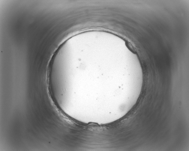 X0000067841526200605041636