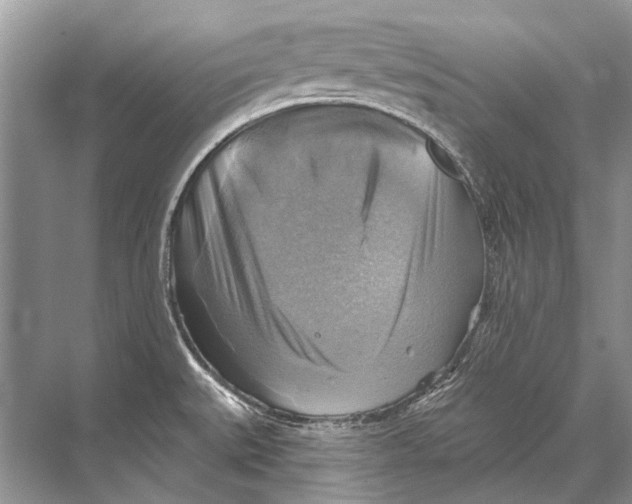 X0000067841527200605041636