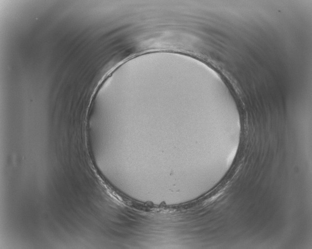 X0000067841529200605041636