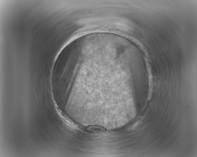 X0000067841530200605041636