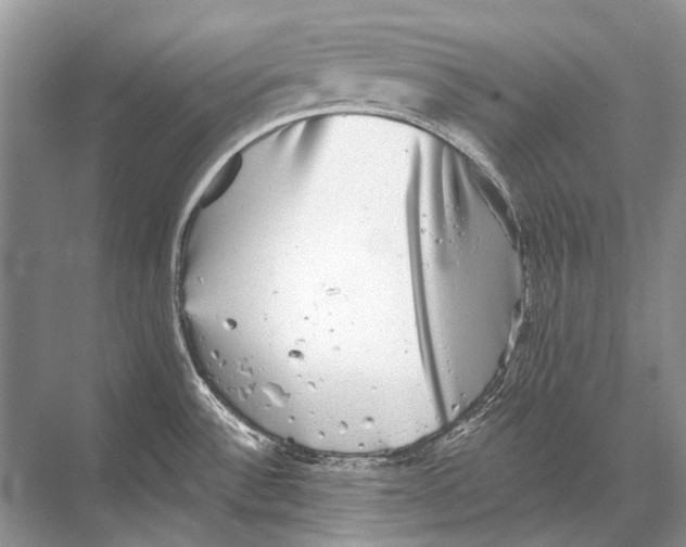 X0000067841532200605041636