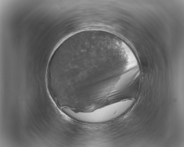 X0000067841533200605041636