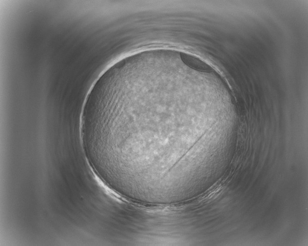 X0000067841535200605041636