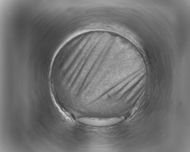 X0000067841536200605041636