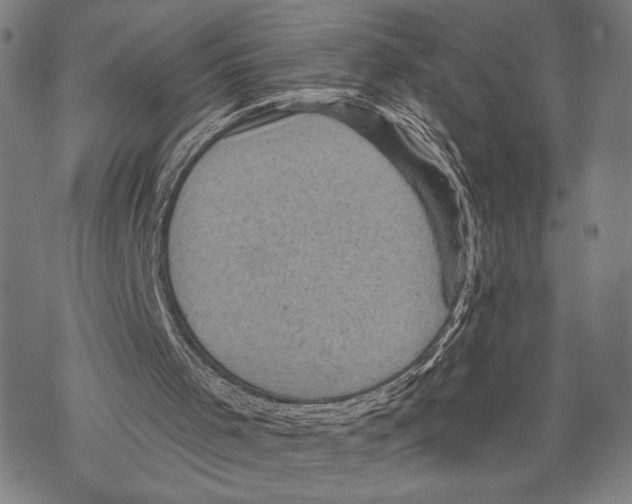 X0000067840001200605111654