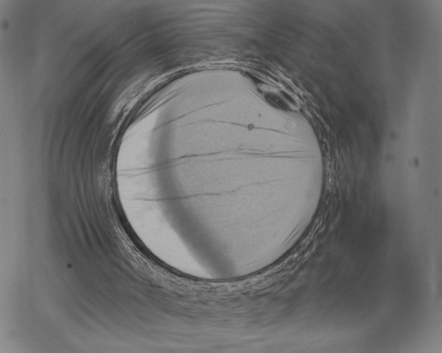 X0000067840002200605111654