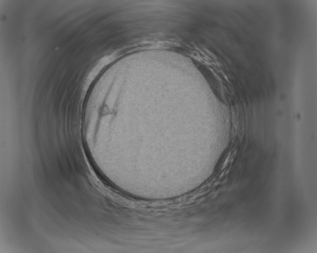 X0000067840003200605111654