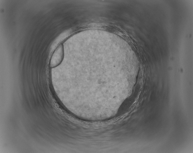 X0000067840006200605111654