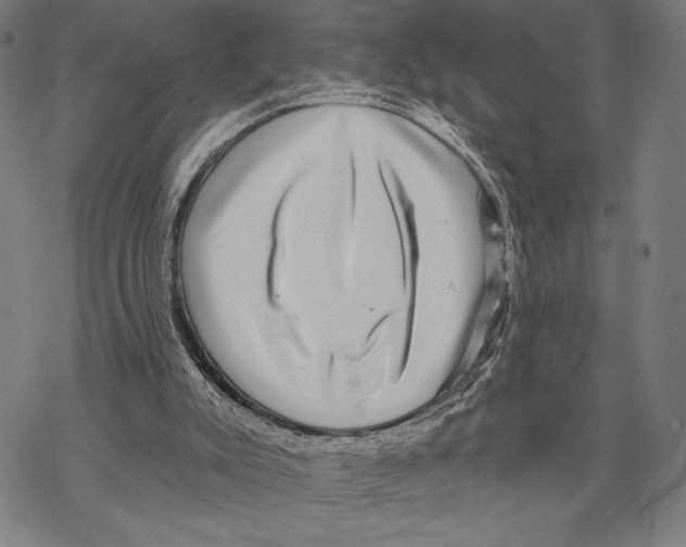 X0000067840007200605111654