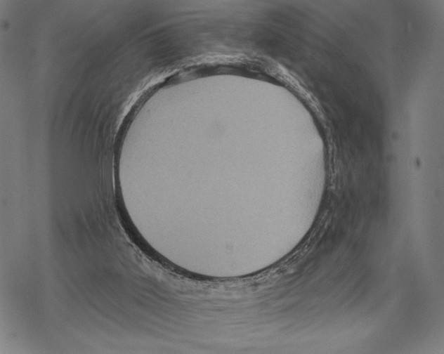 X0000067840011200605111654