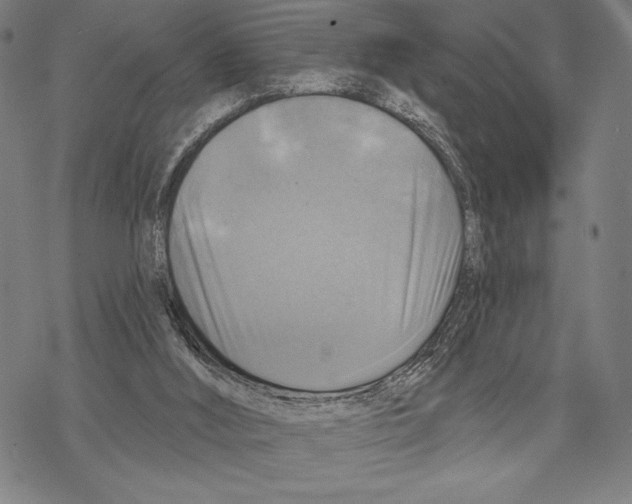 X0000067840012200605111654