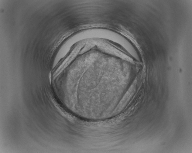 X0000067840013200605111654