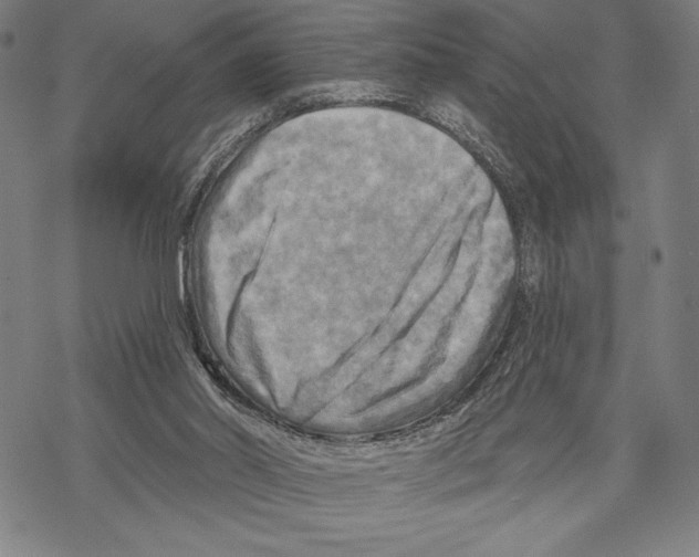 X0000067840014200605111654