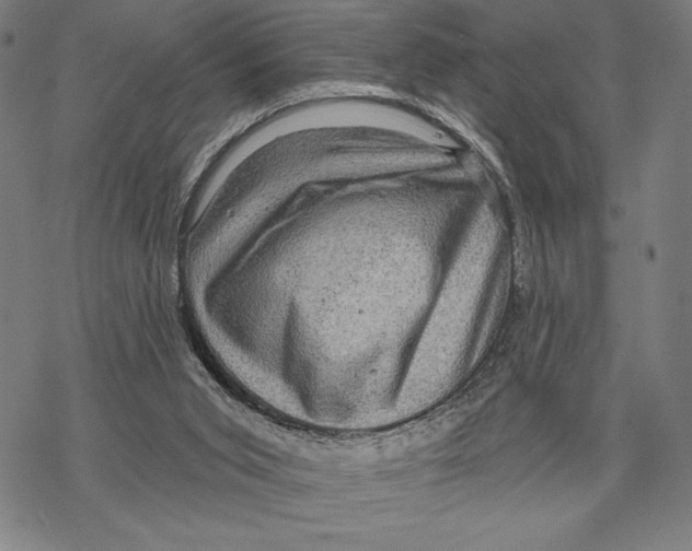 X0000067840015200605111654