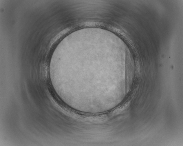 X0000067840016200605111654