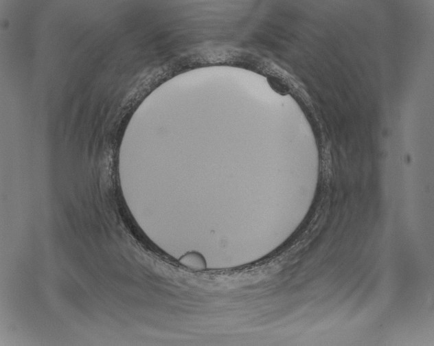 X0000067840018200605111654