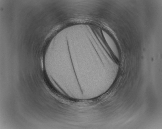 X0000067840020200605111654