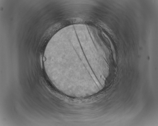 X0000067840022200605111654