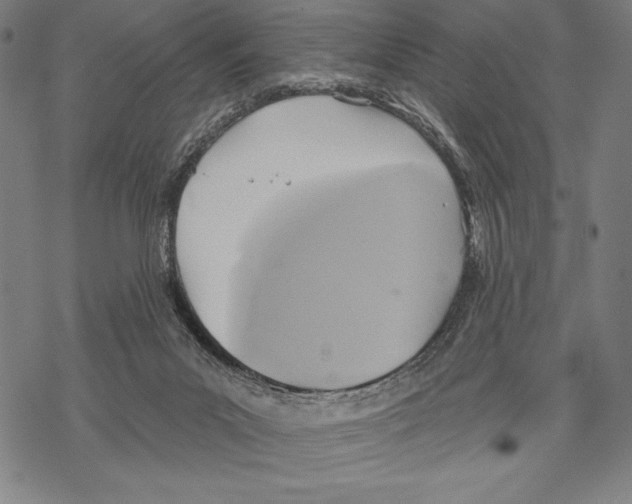 X0000067840023200605111654