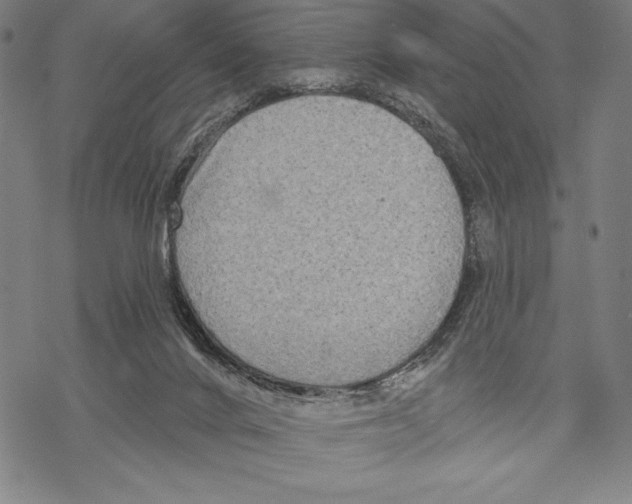 X0000067840024200605111654