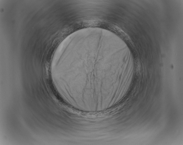 X0000067840026200605111654