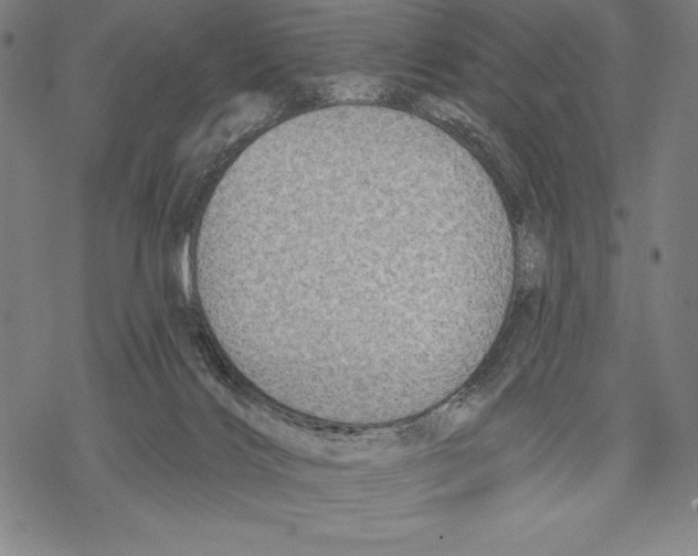 X0000067840028200605111654