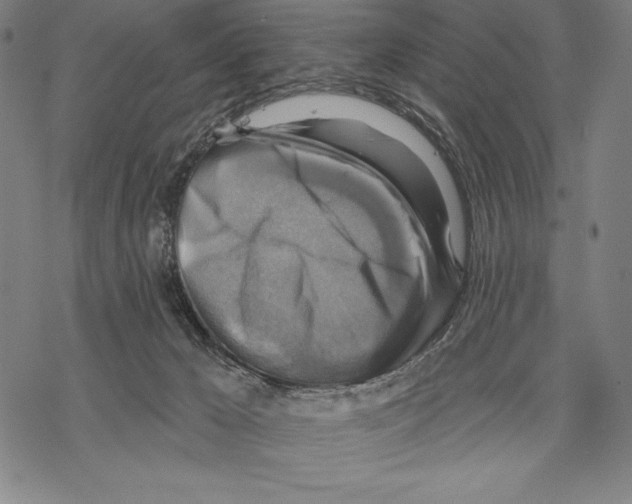 X0000067840029200605111654