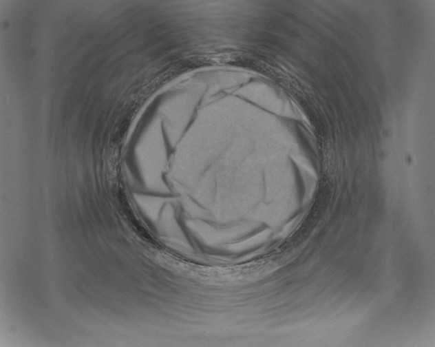 X0000067840030200605111654