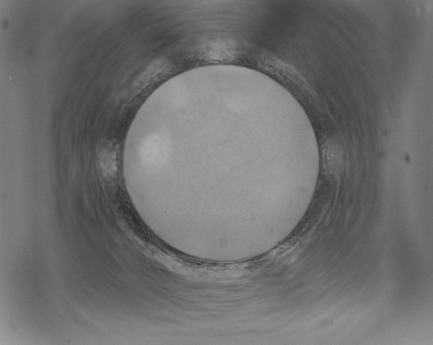 X0000067840032200605111654