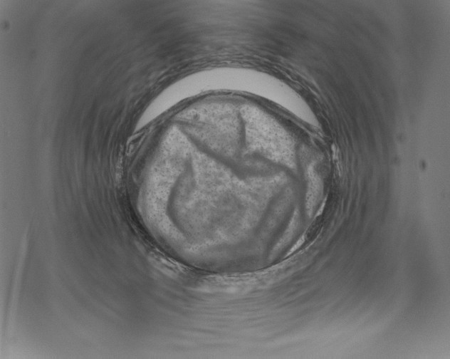 X0000067840033200605111654