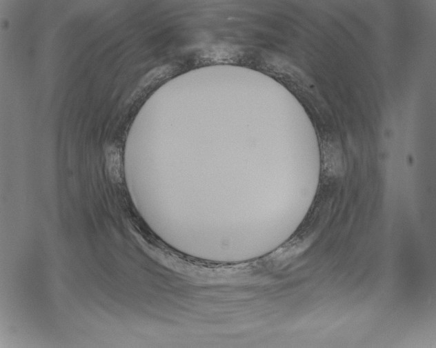 X0000067840036200605111654