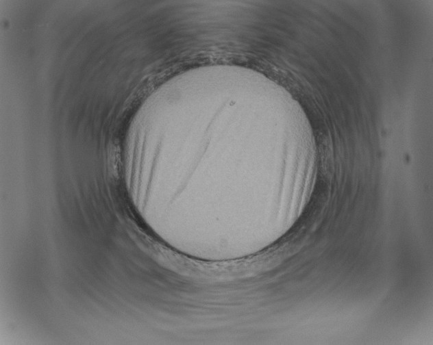 X0000067840038200605111654