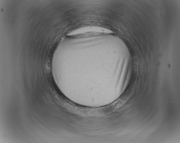 X0000067840040200605111654