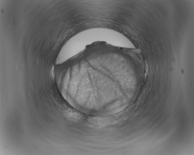 X0000067840041200605111654