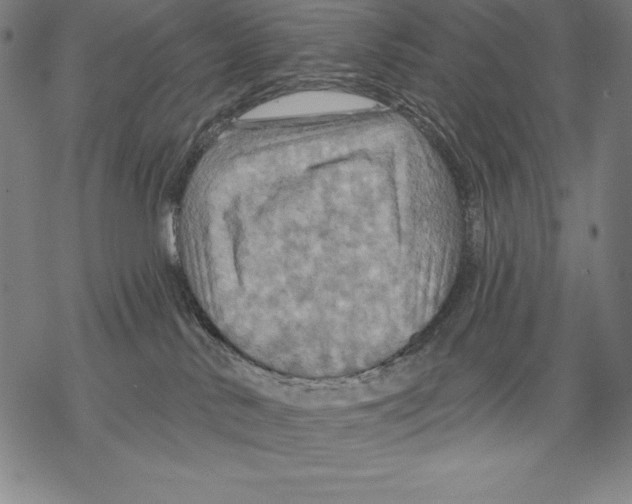 X0000067840042200605111654